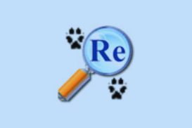 VFP反编译软件 ReFox XI Plus v11.54.2008.522 注册版