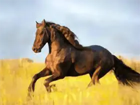 YourTV 你的电视TV v2.1.6-免费杂货铺