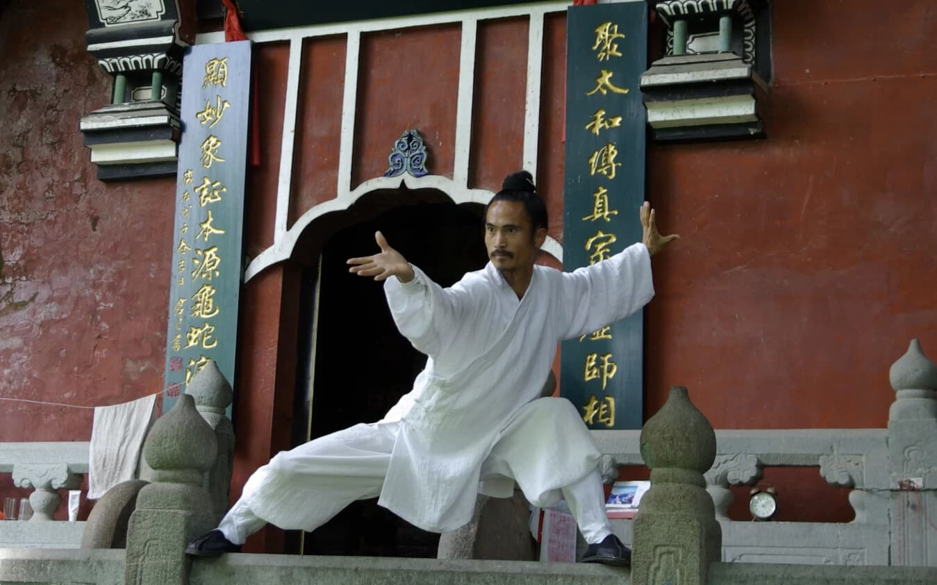 武当袁师懋道长养生八段锦-免费杂货铺