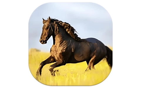 YourTV 你的电视TV v2.0.4 清爽版-免费杂货铺