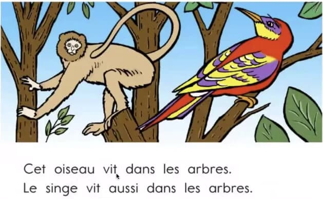 顶点教育｜少儿法语课 French for youth-免费杂货铺