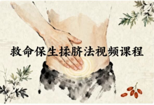 救命保生揉脐法视频课程-免费杂货铺