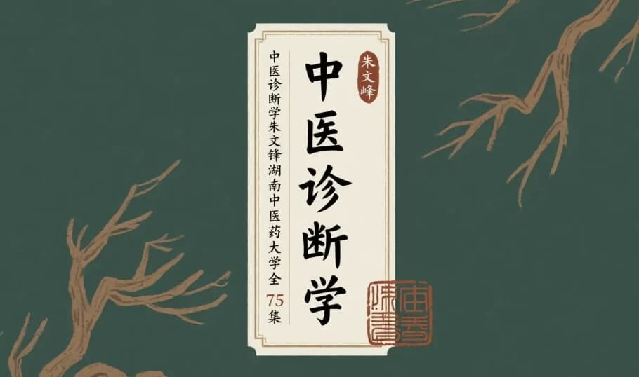 中医诊断学 朱文锋-湖南中医药大学-免费杂货铺