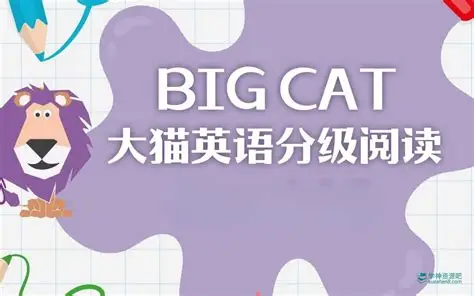 柯林斯大猫 Big Cat（点读 PDF + 音频）｜英语启蒙分级读物全库-免费杂货铺