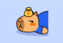 咔皮记账 v0.9.51 自动记账AI分析版｜智能个人财务管理工具-是免费•TOP