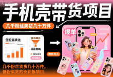 手机壳带货项目实操指南，低粉账号卖出几十万件-免费杂货铺