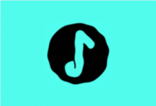 Salt Player 椒盐音乐 v11.1.0 无广告纯净版｜本地音乐播放器-是免费•TOP