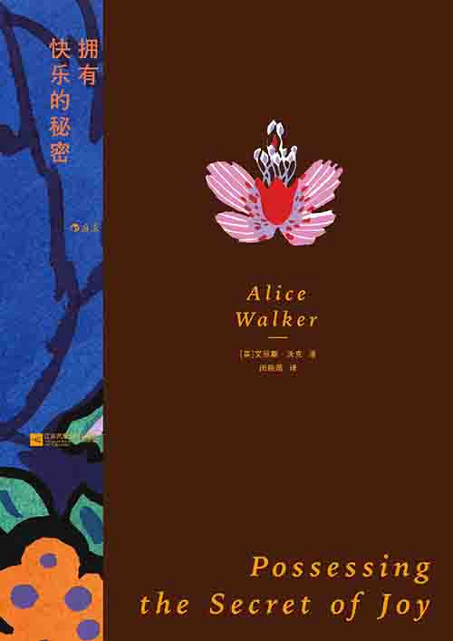 [文学 / 女性成长]《拥有快乐的秘密》| 女性命运与传统桎梏的抗争-是免费•TOP