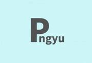 Pngyu v1.0.5 中文绿色版｜PNG 图像批量压缩工具-是免费•TOP