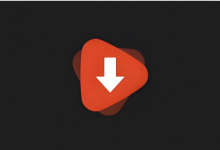 WDownloader v1.6.29 解锁高级版｜手机端视频下载工具-是免费•TOP