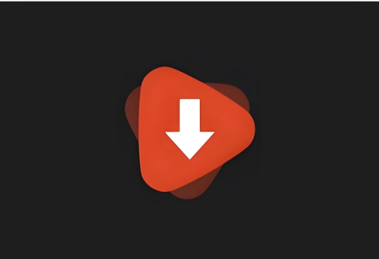 WDownloader v1.6.29 解锁高级版｜手机端视频下载工具
